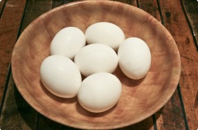 Blown Eggs (Eggshells)