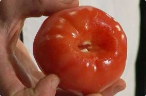 Coring a Tomato