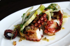 Grilled Octopus w/ Fennel Salad