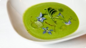 Chilled Wild Watercress Soup