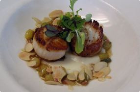 Seared Scallops with Cauliflower Veloute