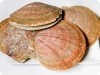 How to Clean Whole Scallops
